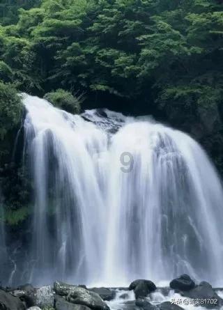 移动的靶心5无敌版